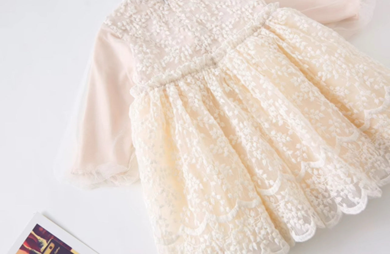 Baby Girls Dress Embroidered Mesh Lace Dress