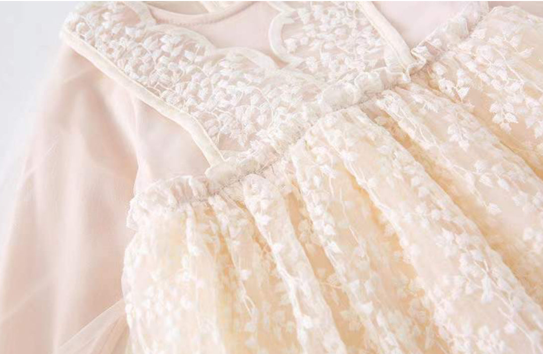 Girls Dress Embroidered Mesh Lace