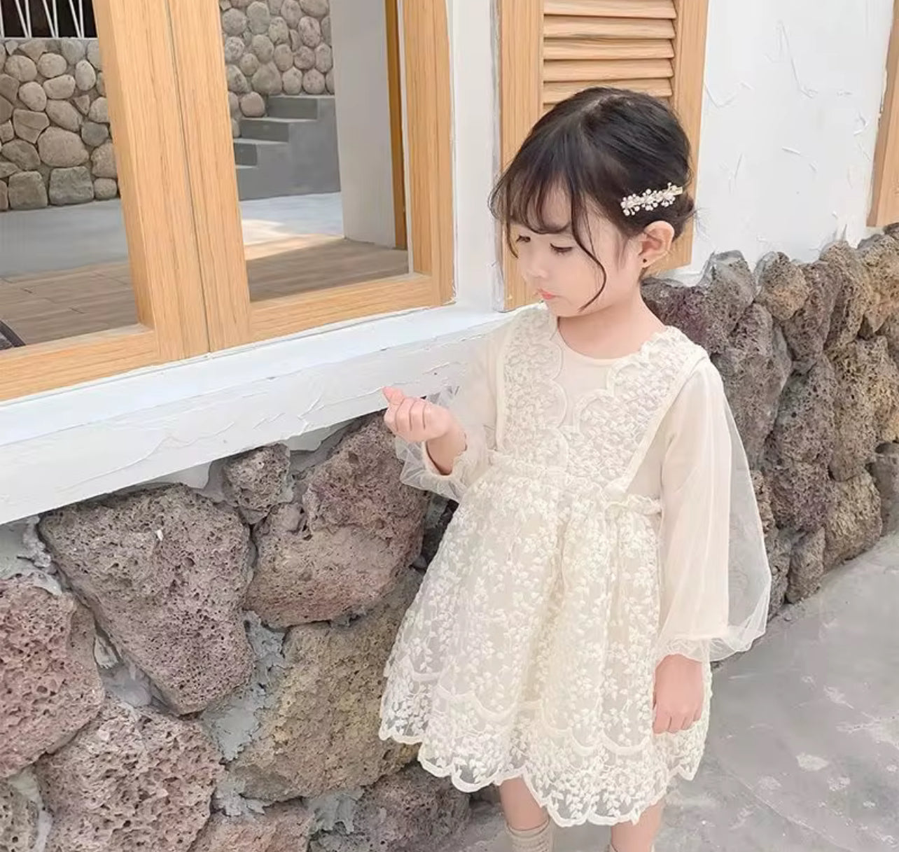 Baby Girls Dress Embroidered Mesh Lace Dress