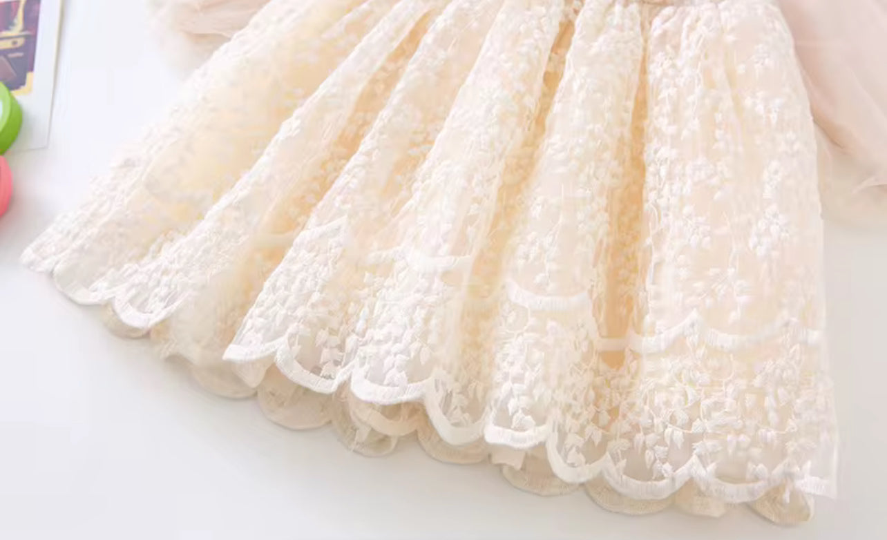 Baby Girls Dress Embroidered Mesh Lace Dress
