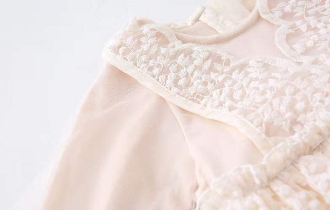 Baby Girls Dress Embroidered Mesh Lace Dress