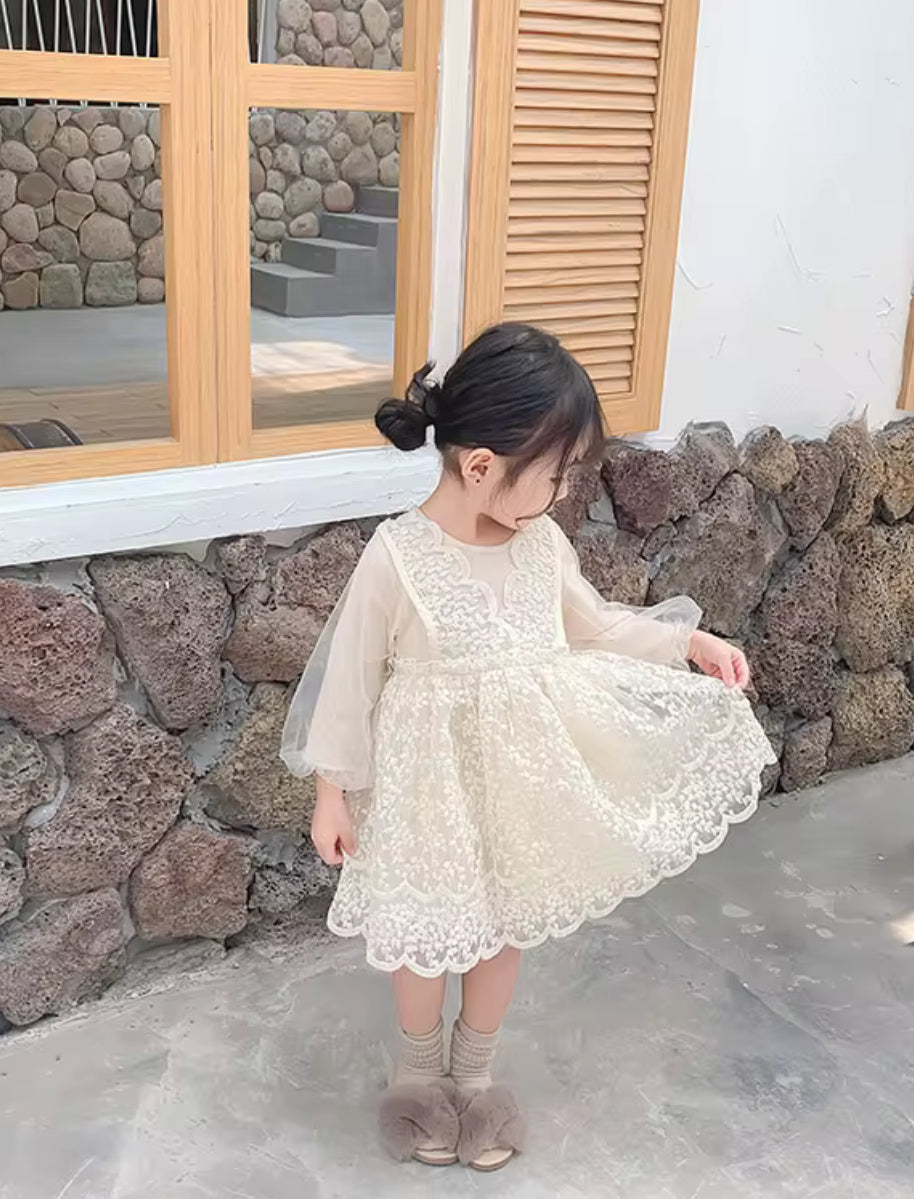 Baby Girls Dress Embroidered Mesh Lace Dress