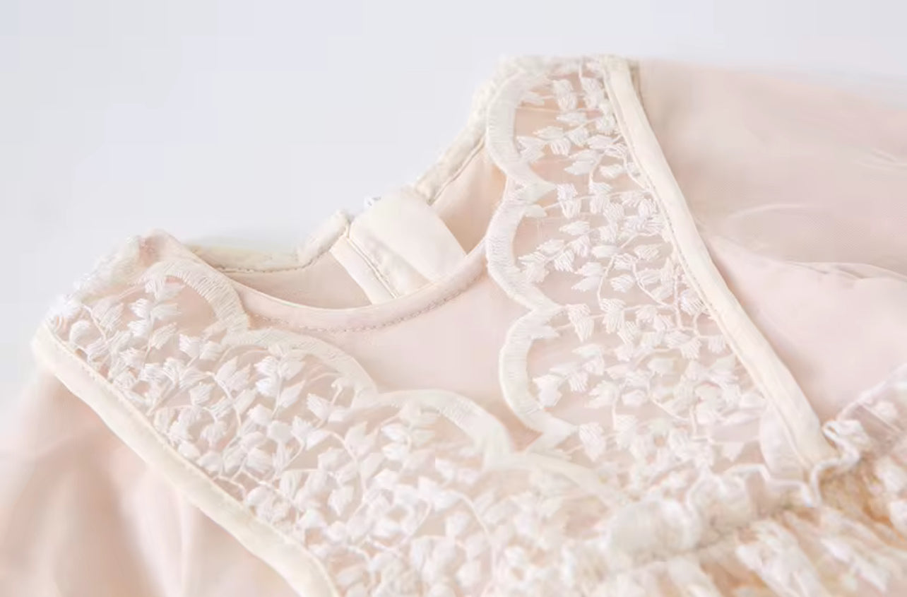 Baby Girls Dress Embroidered Mesh Lace Dress