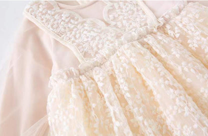Baby Girls Dress Embroidered Mesh Lace Dress