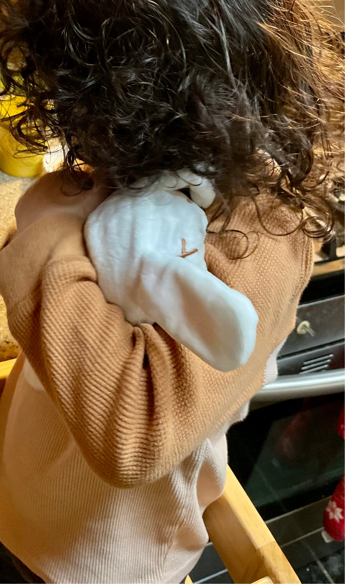 Cozy Baby Plushie