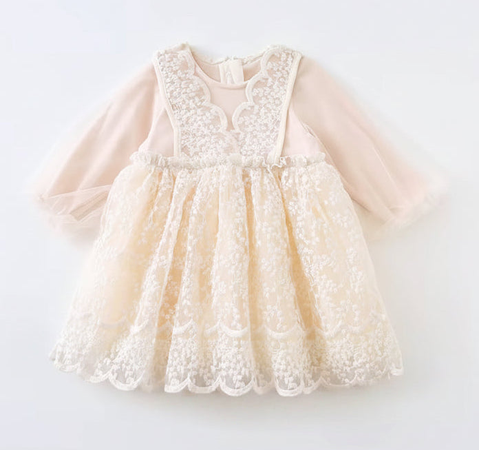 Mesh EmbroideredLace Dress