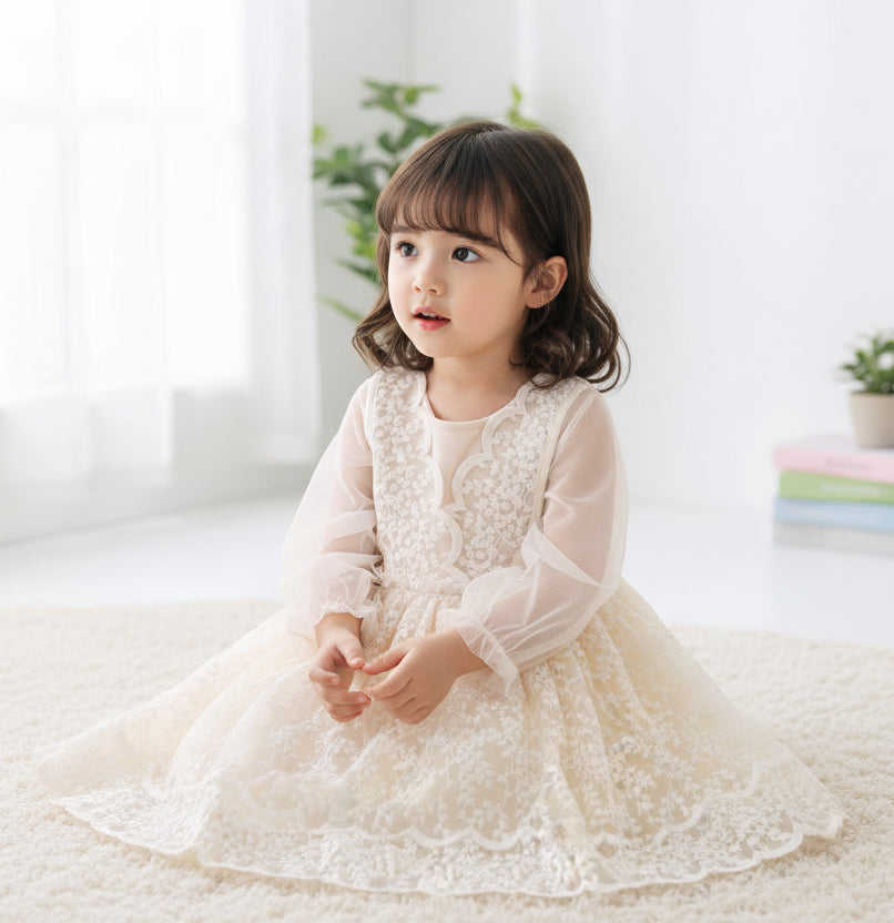 Mesh EmbroideredLace Dress