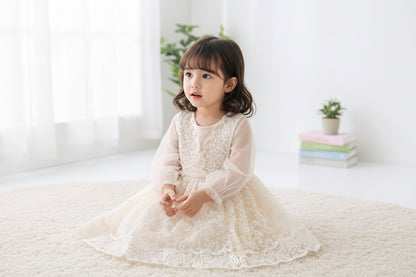 Girls Dress Embroidered Mesh Lace
