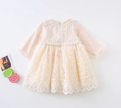 Baby Girls Dress Embroidered Mesh Lace Dress